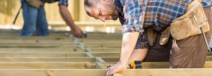 Skilled Workers